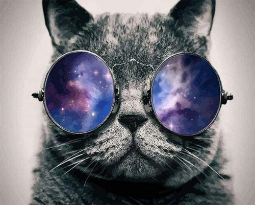 paint by numbers | Cat with Sunglasses | advanced animals cats | FiguredArt