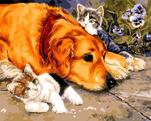 paint by numbers | Cats and Dog | animals cats dogs intermediate | FiguredArt