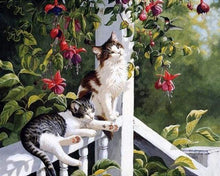 Load image into Gallery viewer, paint by numbers | Cats and Hummingbird | advanced animals birds cats | FiguredArt