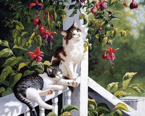 paint by numbers | Cats and Hummingbird | advanced animals birds cats | FiguredArt