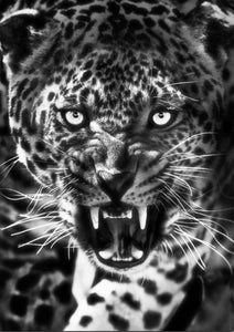 paint by numbers | Cheetah Black and White | advanced animals leopards | FiguredArt