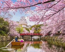 Load image into Gallery viewer, paint by numbers | Cherry Blossom in Japan | advanced flowers landscapes new arrivals | FiguredArt