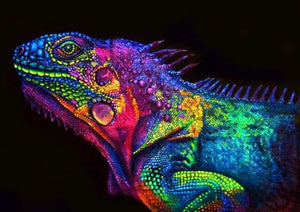 paint by numbers | Colorful Chameleon | advanced animals Pop Art | FiguredArt