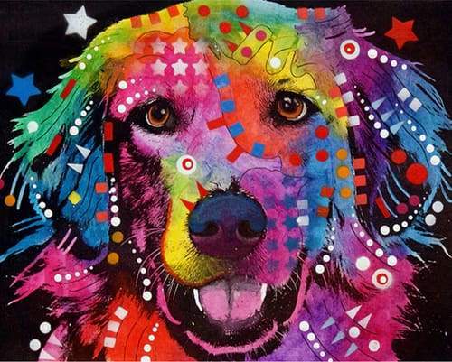 Colorful Labrador