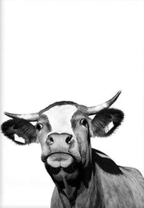paint by numbers | Cow in Style | advanced animals cows | FiguredArt