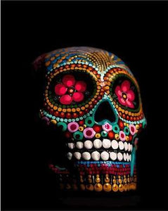 paint by numbers | Decorated Skull | easy new arrivals world | FiguredArt
