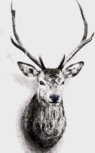 Load image into Gallery viewer, paint by numbers | Deer head Black and White | animals deer easy | FiguredArt