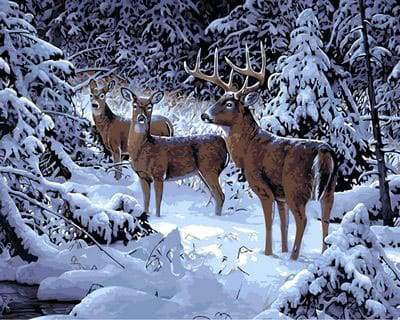 paint by numbers | Deer in the Snow | advanced animals deer | FiguredArt