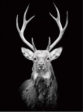 Load image into Gallery viewer, paint by numbers | Deer Retro | advanced animals deer | FiguredArt