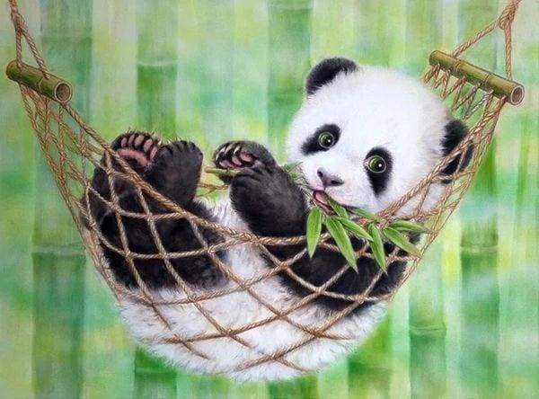 Diamond Painting | Diamond Painting - Baby Panda in its hammock | animals Diamond Painting Animals pandas | FiguredArt