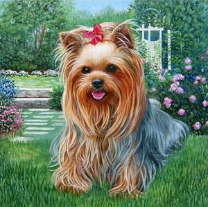 Maltese best sale dog painting