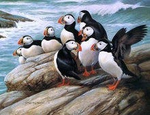 Load image into Gallery viewer, Diamond Painting | Diamond Painting - Birds in seaside | animals birds Diamond Painting Animals | FiguredArt