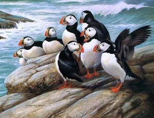 Diamond Painting | Diamond Painting - Birds in seaside | animals birds Diamond Painting Animals | FiguredArt