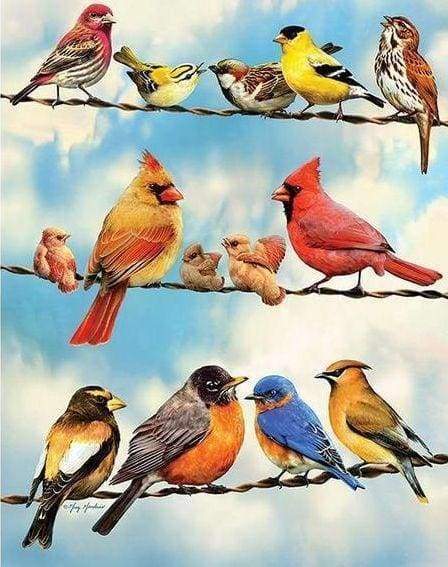 Diamond Painting | Diamond Painting - Birds Lines | animals birds Diamond Painting Animals | FiguredArt