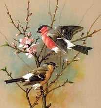 Load image into Gallery viewer, Diamond Painting | Diamond Painting - Birds on Branch | animals birds Diamond Painting Animals | FiguredArt