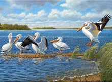 Load image into Gallery viewer, Diamond Painting | Diamond Painting - Birds on the Lake | animals birds Diamond Painting Animals | FiguredArt