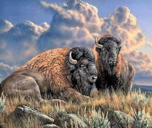 Load image into Gallery viewer, Diamond Painting | Diamond Painting - Bison | animals bisons and yaks Diamond Painting Animals | FiguredArt