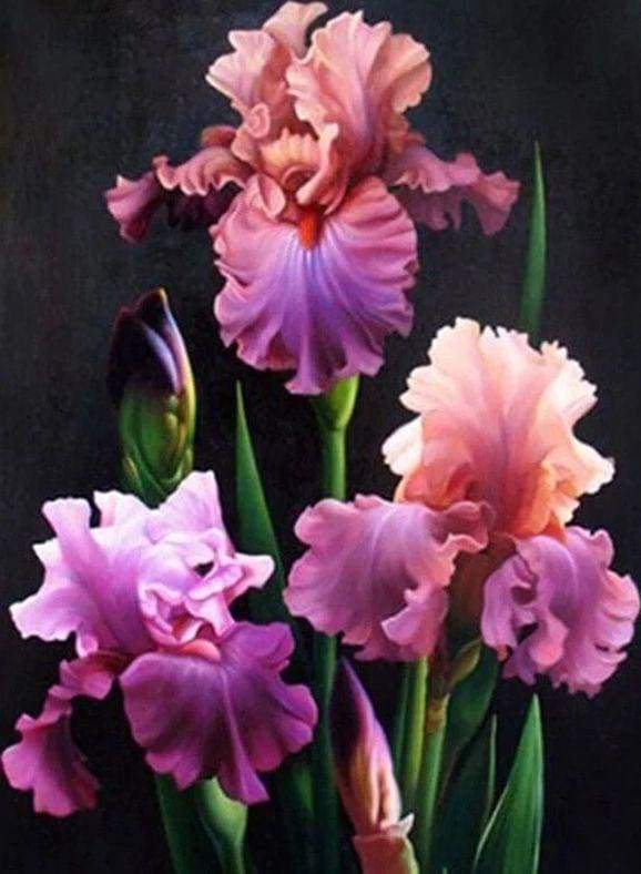Diamond Painting | Diamond Painting - Blooming Iris | Diamond Painting Flowers flowers | FiguredArt