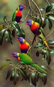 Diamond Painting | Diamond Painting - Blue-headed Parrots on Branch | animals birds Diamond Painting Animals parrots | FiguredArt