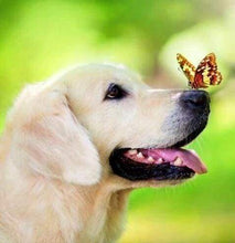 Load image into Gallery viewer, Diamond Painting | Diamond Painting - Butterfly and Labrador | animals butterflies Diamond Painting Animals | FiguredArt