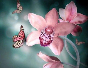 Diamond Painting | Diamond Painting - Butterfly and Orchid | animals butterflies Diamond Painting Animals Diamond Painting Flowers flowers |
