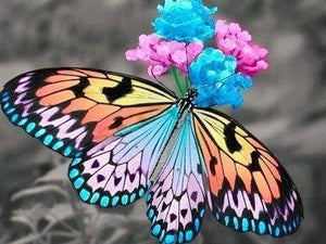Diamond Painting | Diamond Painting - Butterfly gathering pollen | animals butterflies Diamond Painting Animals | FiguredArt