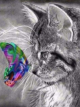 Load image into Gallery viewer, Diamond Painting | Diamond Painting - Cat and Butterfly colorful | animals butterflies cats Diamond Painting Animals | FiguredArt