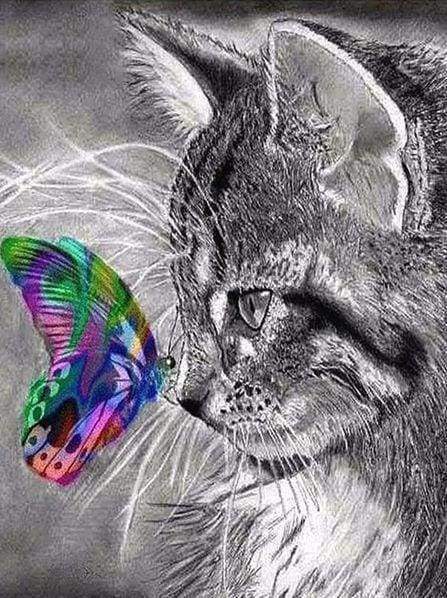 Diamond Painting | Diamond Painting - Cat and Butterfly colorful | animals butterflies cats Diamond Painting Animals | FiguredArt