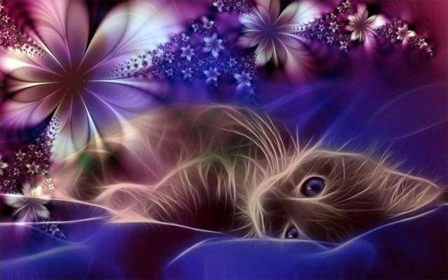 Diamond Painting | Diamond Painting - Cat dreams | animals cats Diamond Painting Animals | FiguredArt