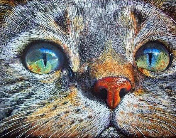 Diamond Painting | Diamond Painting - Cat Face | animals cats Diamond Painting Animals | FiguredArt