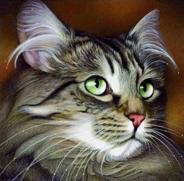 Diamond Painting | Diamond Painting - Cat Portrait | animals cats Diamond Painting Animals | FiguredArt