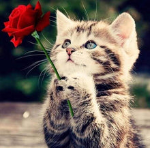 Load image into Gallery viewer, Diamond Painting | Diamond Painting - Cat with Rose | animals cats Diamond Painting Animals Diamond Painting Flowers flowers | FiguredArt