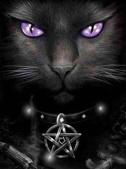 Diamond Painting | Diamond Painting - Cat with violet eyes | animals cats Diamond Painting Animals | FiguredArt