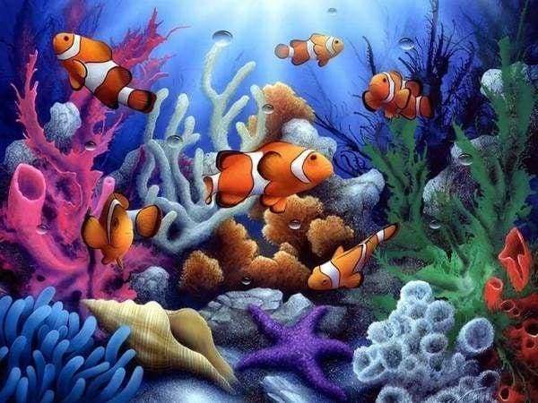 Diamond Painting | Diamond Painting - Clown Fish | animals Diamond Painting Animals fish | FiguredArt