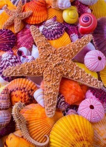 Diamond Painting | Diamond Painting - Colorful Star and Sea Shells | animals Diamond Painting Animals | FiguredArt