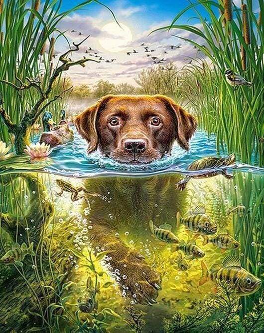 Diamond Painting | Diamond Painting - Dog in the stream | animals Diamond Painting Animals dogs | FiguredArt