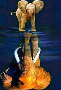 Diamond Painting | Diamond Painting - Elephant and its reflection | animals Diamond Painting Animals elephants | FiguredArt
