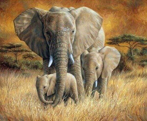 Diamond Painting | Diamond Painting - Family of Elephants | animals Diamond Painting Animals elephants | FiguredArt