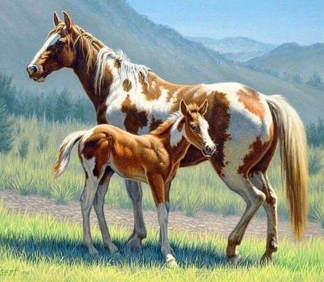 Diamond Painting | Diamond Painting - Horse and Foal | animals Diamond Painting Animals horses | FiguredArt