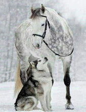 Load image into Gallery viewer, Diamond Painting | Diamond Painting - Horse &amp; Wolf in the Snow | animals Diamond Painting Animals horses rabbits winter | FiguredArt