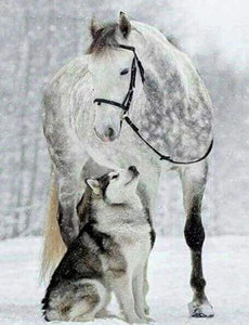 Diamond Painting | Diamond Painting - Horse & Wolf in the Snow | animals Diamond Painting Animals horses rabbits winter | FiguredArt