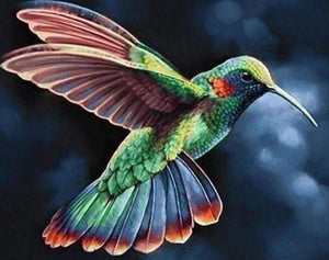 Diamond Painting | Diamond Painting - Hummingbird in the Night | animals Diamond Painting Animals | FiguredArt