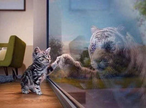 Diamond Painting | Diamond Painting - Kitten and Tigers reflection | animals cats Diamond Painting Animals tigers | FiguredArt