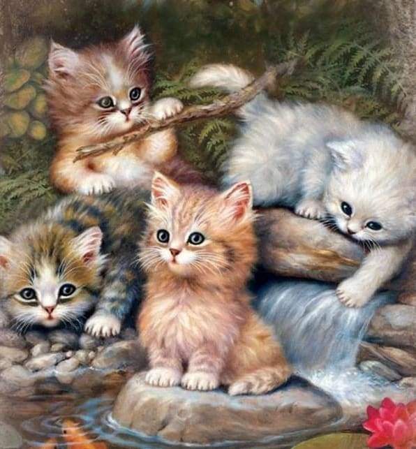 Diamond Painting | Diamond Painting - Kitten Players | animals cats Diamond Painting Animals | FiguredArt