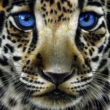 Load image into Gallery viewer, Diamond Painting | Diamond Painting - Leopard with Blue Eyes | animals Diamond Painting Animals leopards | FiguredArt