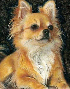 Diamond Painting | Diamond Painting - Little Red Dog | animals Diamond Painting Animals dogs | FiguredArt