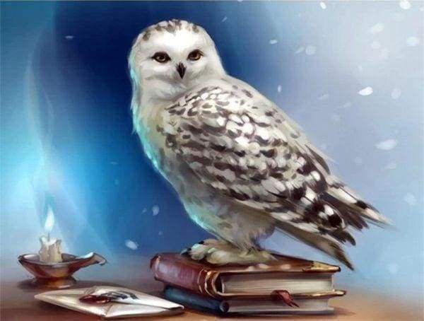 Diamond Painting | Diamond Painting - Owl and Book | animals Diamond Painting Animals owls | FiguredArt