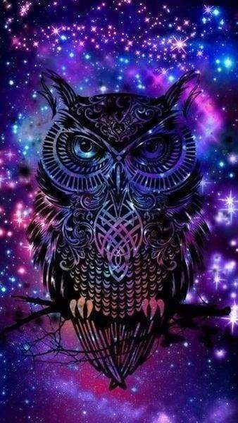 Diamond Painting | Diamond Painting - Owl in the Night | animals Diamond Painting Animals owls | FiguredArt