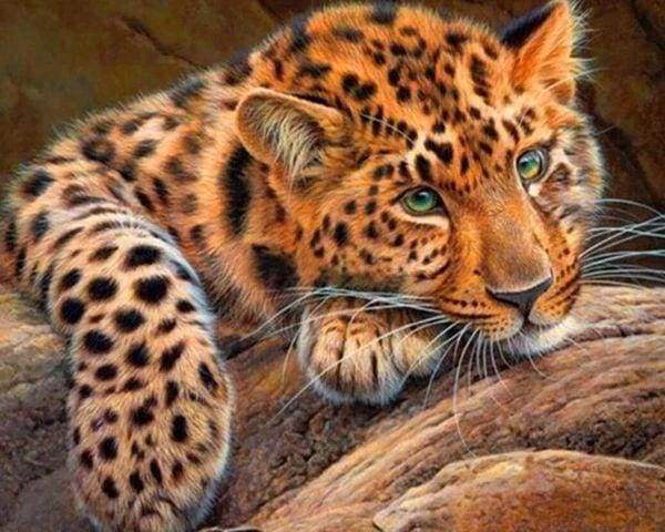 Diamond Painting | Diamond Painting - Panther | animals Diamond Painting Animals panthers | FiguredArt