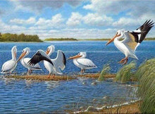 Load image into Gallery viewer, Diamond Painting | Diamond Painting - Pelicans | animals Diamond Painting Animals | FiguredArt
